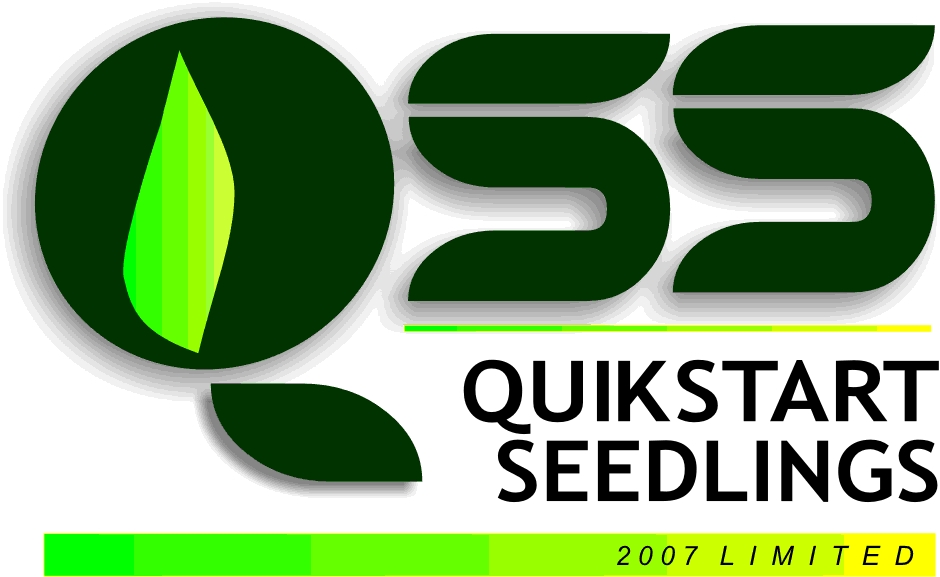 Quik Seeds Logo